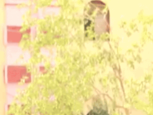 सेंट्रल जेल में पेड़ से लटकी मिली कैदी की लाश:प्रयागराज में घटना, हत्या में मिली थी उम्रकैद, कुछ देर पहले मिला था भाई से