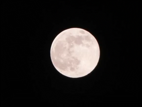 साल का सबसे बड़ा चांद दिखा:सुपरमून सामान्य से 14 गुना बड़ा और 30% ज्यादा चमकीला