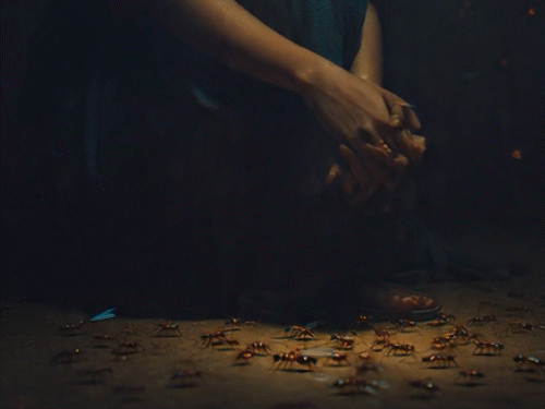 तेलंगाना में चींटियों के डर से महिला का सुसाइड:नोट में लिखा-इनके साथ जी नहीं सकती; मरने से पहले बेटी को रिश्तेदार के घर छोड़ा