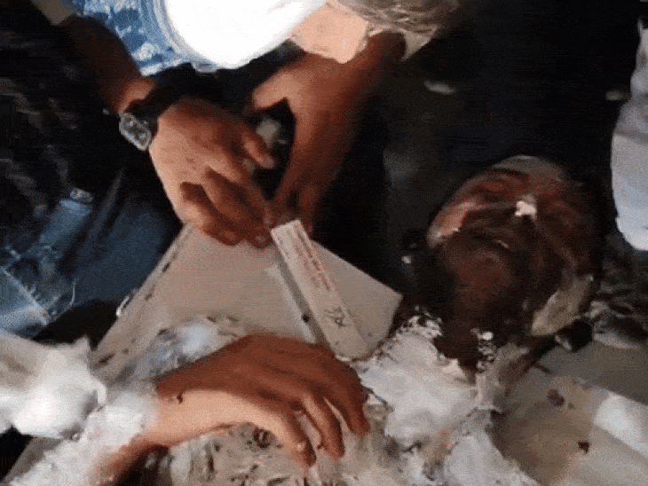 परीक्षा देने से रोका तो छात्र ने दी जान:मुजफ्फरनगर में खुद को लगाई आग, फीस विवाद पर प्रिंसिपल पर अभद्रता का आरोप