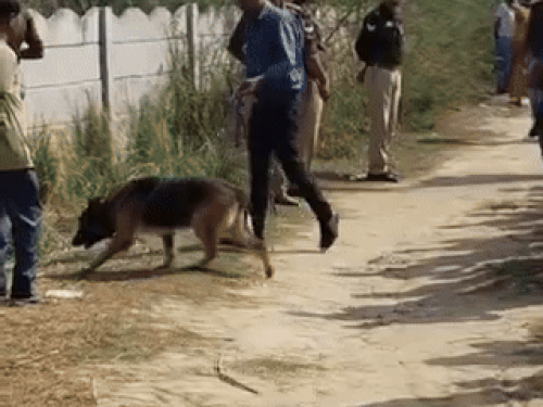 पिता निकला कातिल, पत्नी से बुलवाकर रेता बेटी का गला:प्रयागराज में नाबालिग हत्याकांड का सनसनीखेज खुलासा