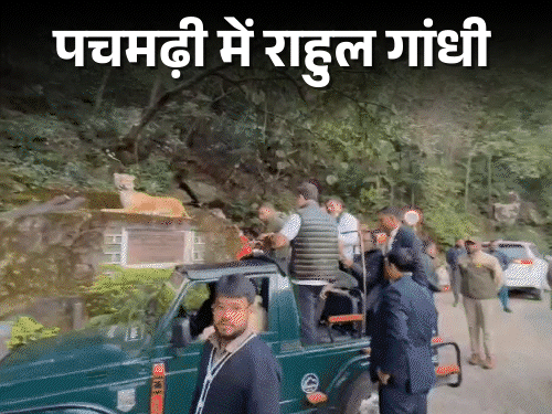 राहुल बोले- वोट चोरी को SIR से कवर कर रहे:मोदी- शाह ने लोकतंत्र का नुकसान किया; पचमढ़ी में जंगल सफारी की, बच्चों से मिले