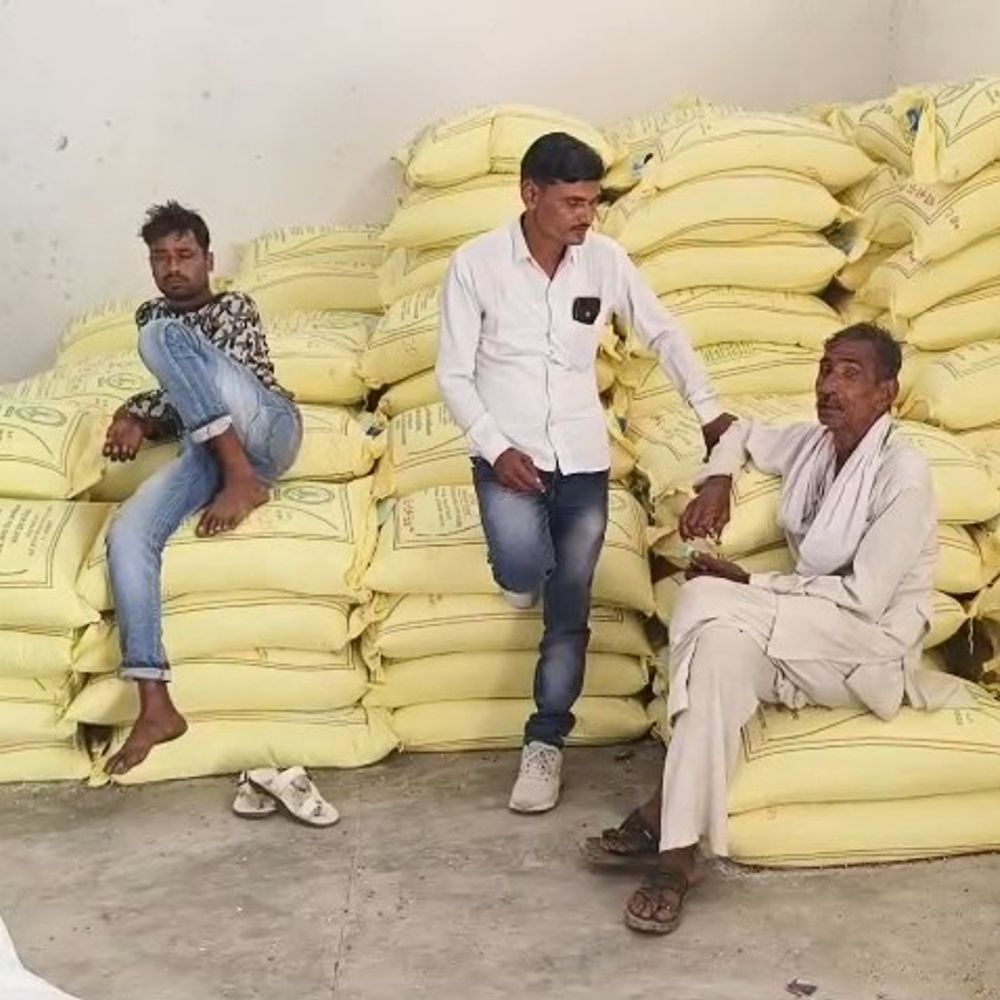 बुंदेलखंड में किसानों को राहत, सरकार ने शुरू की पहल:किसानों को 50 प्रतिशत सब्सिडी और निःशुल्क बीज वितरण से फिर शुरू होगी खेती