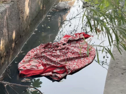 नोएडा में सिर कटी लाश की शिनाख्त अब तक नहीं:50 महिलाओं की हिस्ट्री निकाली, 100 थानों में वेरिफिकेशन, 45 टीम लगी