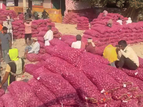 बांग्लादेश-नेपाल के कारण अलवर के किसानों को 500-करोड़ का नुकसान:लाल-प्याज को बचाने के लिए एक भी गोदाम नहीं, बोले-आत्महत्या को मजबूर