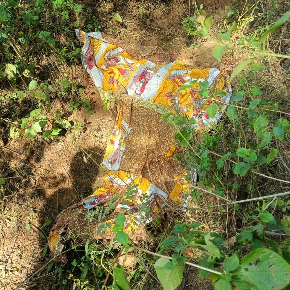 बबीना में जंगल में मिला महिला का शव:हत्या की आशंका के बीच मचा हड़कंप, संदिग्ध हिरासत में