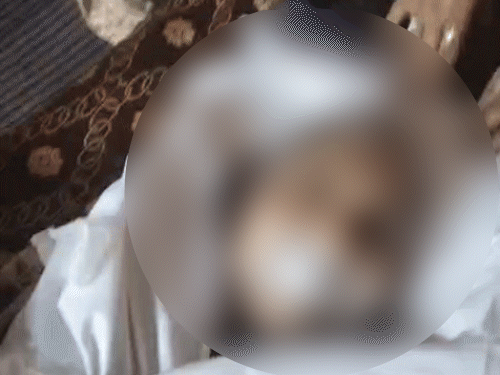 लुधियाना में शव से कफन हटाते ही हंगामा:शख्स की जगह महिला की लाश निकली, अस्पताल बोला था- न खोलें, बॉडी में दवा लगी है