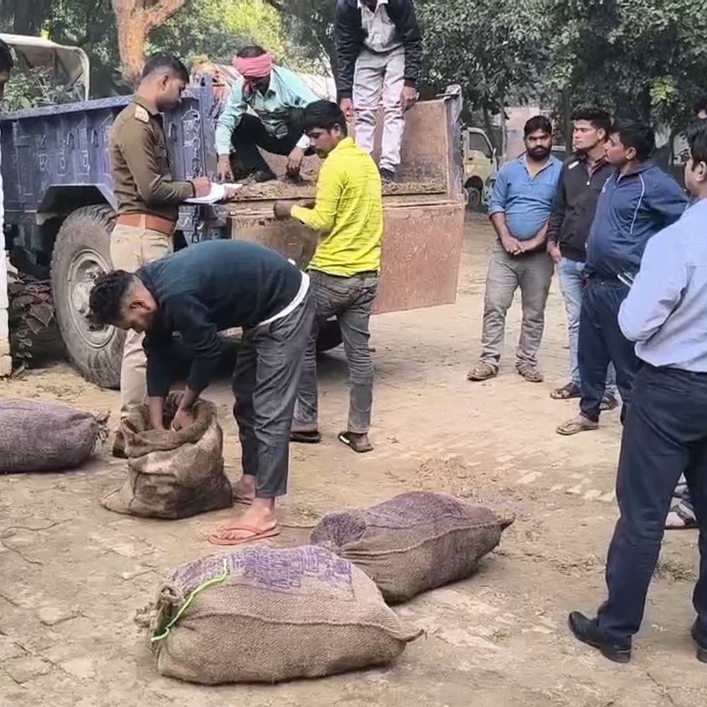 मैनपुरी में कछुआ तस्करी का करने वाले दो गिरफ्तार:कार से 197 सुंदरी प्रजाति के जिंदा कछुआ बरामद