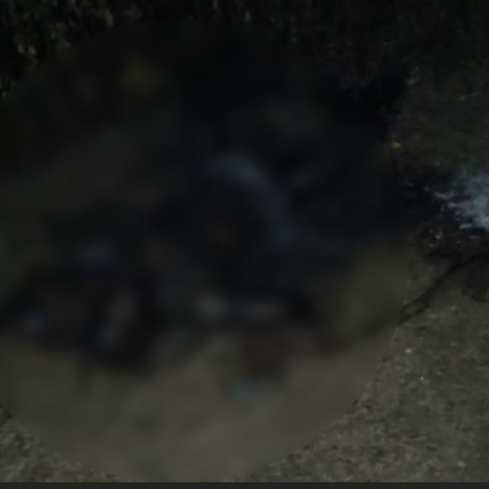 भोजपुर में खौफनाक वारदात:  सड़क किनारे जली हालत में मिला पेंटर का शव, हत्या की आशंका से फैली सनसनी – rajgarh (MP) News