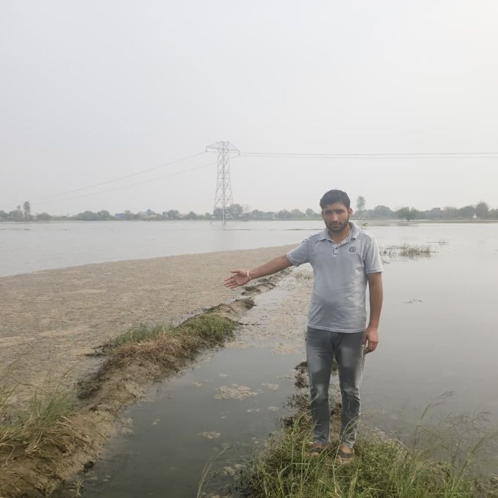 महम क्षेत्र में खेतों में अभी भी भरा पानी:  रबी फसलों की बुवाई को लेकर किसान चिंतित; धान-कपास पहले हो चुकी खराब – meham News