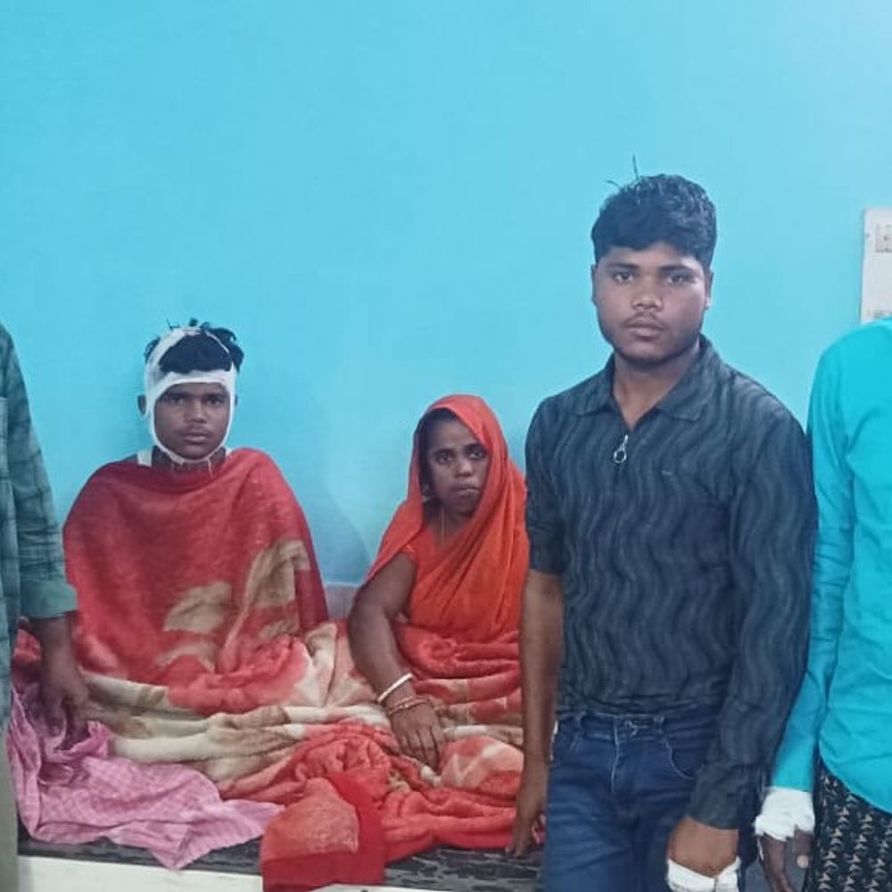 भैंस को गेंद लगने पर दो पक्षों में मारपीट:क्रिकेट खेलते समय बॉल मवेशी को जा लगी, पांच घायल; दो गिरफ्तार