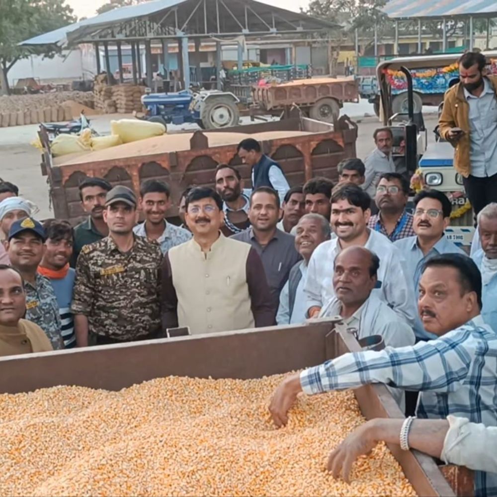 कलेक्टर ने लगवाई बोली, 2300 में बिकी मक्का:आरोन कृषि उपज मंडी का निरीक्षण करने पहुंचे; 1600 के आसपास चल रहा भाव