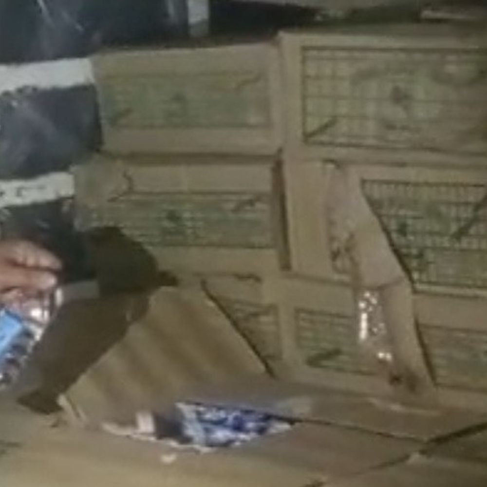 सागर पुलिस ने शराब से भरा लोडिंग वाहन पकड़ा:बटालियन रोड पर घेराबंदी कर रोका, दो आरोपी गिरफ्तार; 50 हजार की शराब जब्त