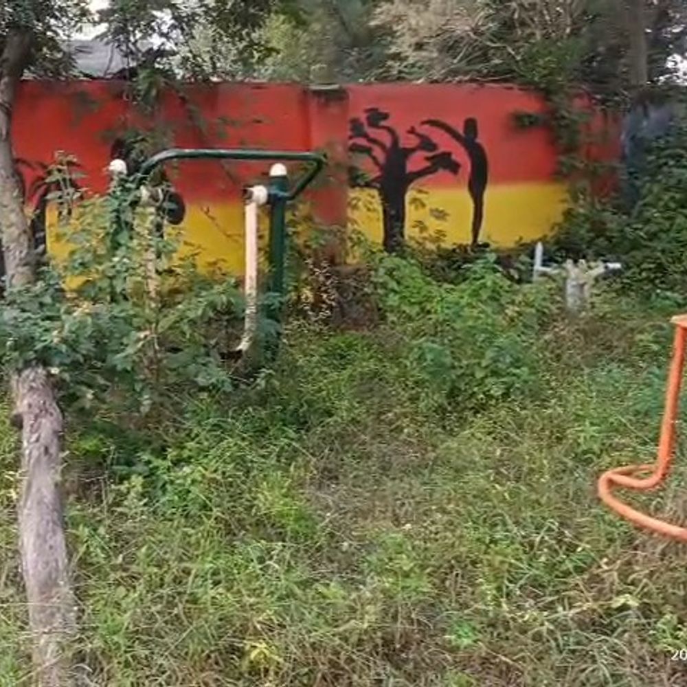 मऊगंज के जिम सेंटर में 2 साल से लगे ताले:CMO बोले- चोरी की आशंका' बनी बंदी की वजह; लाखों की मशीनें खा रहीं जंग