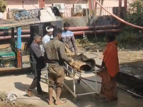 गुमला में प्रेम प्रसंग में युवती ने दी जान:  धान काटने गए थे परिजन, घर में थी अकेली, दुपट्टे से लटककर की आत्महत्या – Gumla News