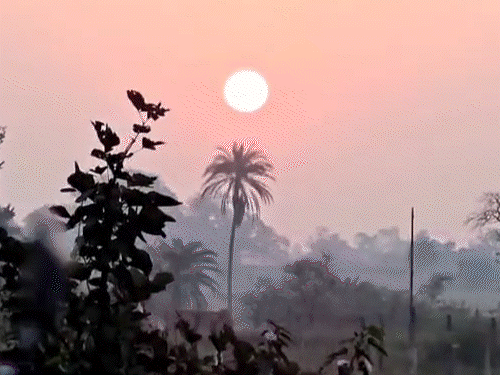 2 दिन और शीतलहर चलेगी, फिर 5° तक बढ़ेगा तापमान:5 दिन में ठंड और कम होगी; सभी जिलों में रात का पारा 1-2° बढ़ा