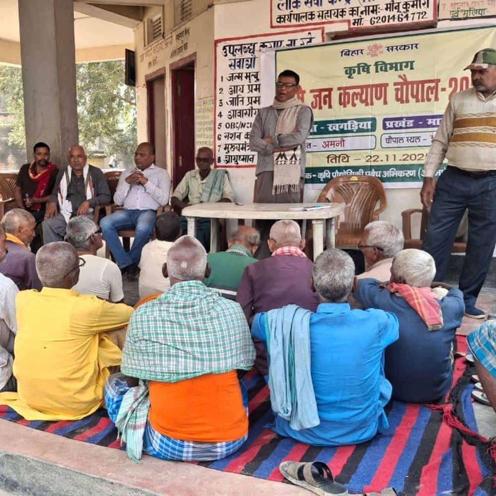 मानसी बीडीओ ने अमनी में हाइब्रिड मक्का बीज बांटे:JDU जिला उपाध्यक्ष ने कहा- कम लागत में बेहतर उपज के लिए यह बीज उपलब्ध कराया जा रहा