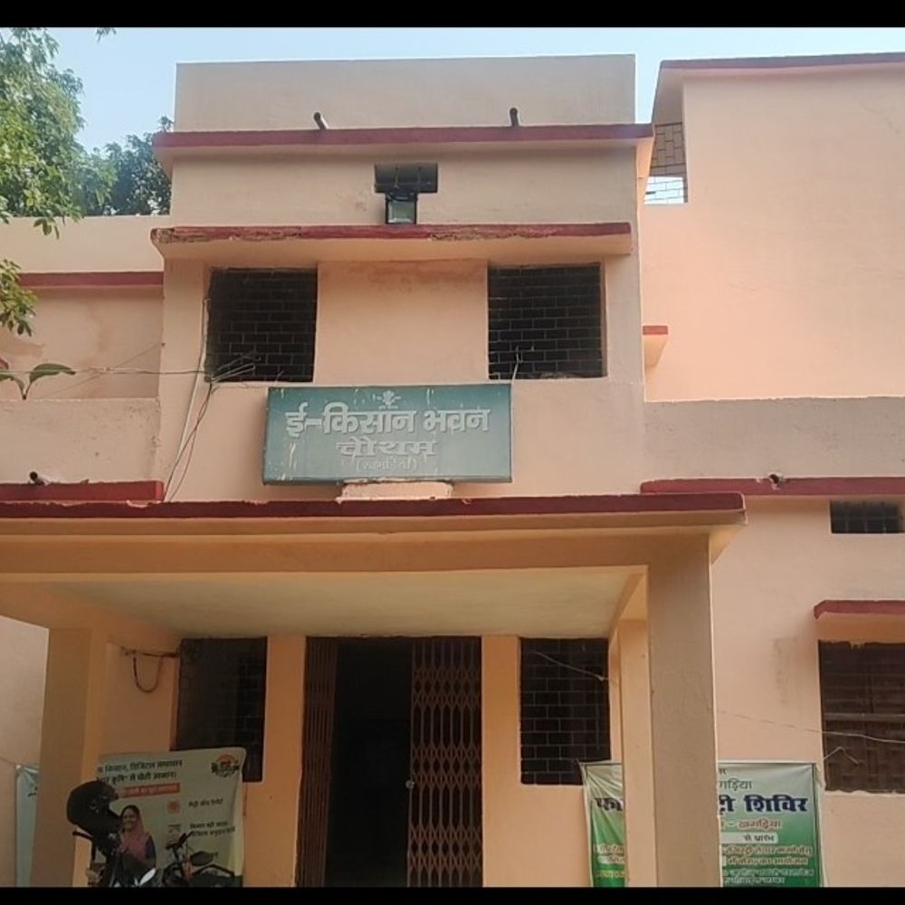 चौथम के किसानों को सरकारी रेट पर मिल रहा बीज:कृषि विभाग ने शुरू किया गेहूं बीज वितरण कार्यक्रम, आय बढ़ाने पर जोर