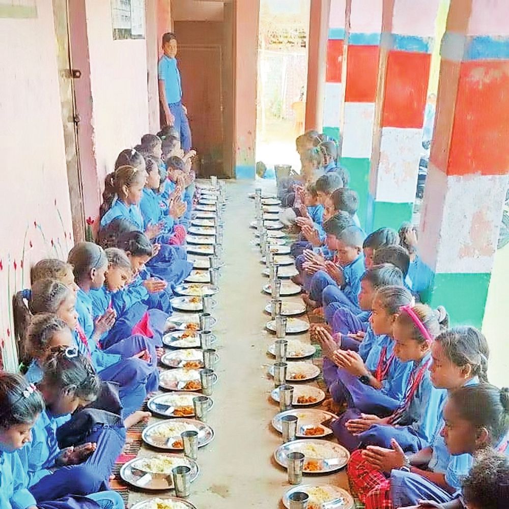 विद्यालयों में भटकते कुत्तों को भोजन न दें का बोर्ड लगाना अनिवार्य