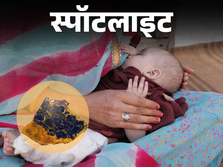 स्पॉटलाइट-मां के दूध में रेडियो एक्टिव यूरेनियम मिला:कैंसर, किडनी फेल करवाने वाला यूरेनियम ब्रेस्ट मिल्क में कैसे मौजूद, इससे नवजातों को कितना खतरा