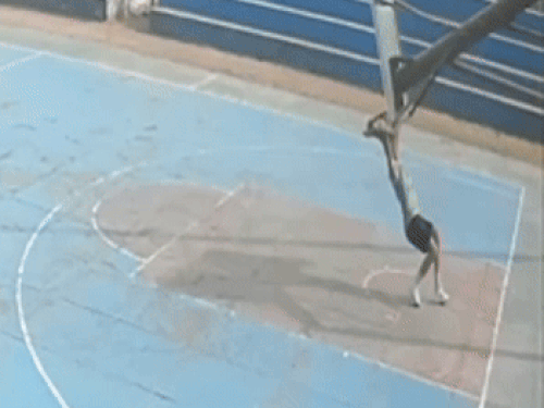 रोहतक में बॉस्केटबॉल प्लेयर की मौत से खिलाड़ियों में गुस्सा:बोले-जून में MP कोटे से आया पैसा, टेंडर होने पर नहीं हुआ कोई काम