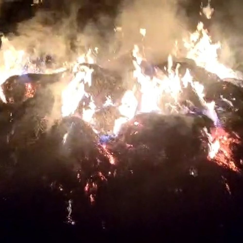 गावां में किसानों के 200 बोझा धान में लगी आग:  असामाजिक तत्वों ने लगाई, लाखों का नुकसान; मुआवजे की मांग – Giridih News