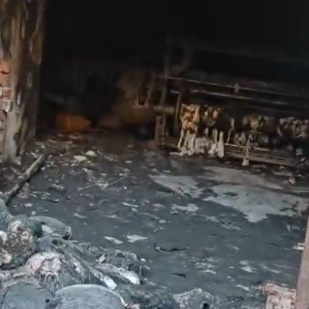 मेरठ में 3 मंजिला मकान में लगी आग:बच्ची सहित 5 लोग झुलसे, 1 की हालत गंभीर