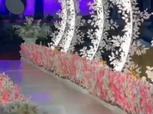 गोरखपुर में दुल्हन की रॉयल एंट्री:'मिरर ब्राइडल एंट्री' बनी पहली पसंद, मटका फॉग का डिमांड भी हाई