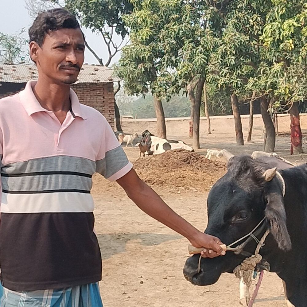 गोगरी में पशुओं का टीकाकरण अभियान:11,500 पशुओं को गंभीर संक्रामक रोगों से बचाने के लिए टीके लगे