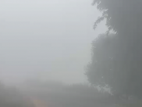 अंबिकापुर-बनारस मार्ग पर घना कोहरा...विजिबिलिटी 100 मीटर:उत्तर से आ रही हवाओं ने बढ़ाई ठिठुरन, रायपुर-दुर्ग, बिलासपुर समेत कई जिलों में 3-4° तक लुढ़का तापमान