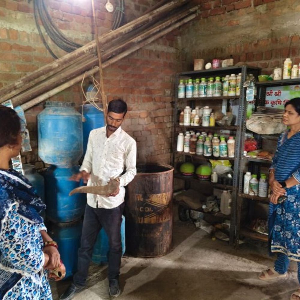 image 29 1 1764425849