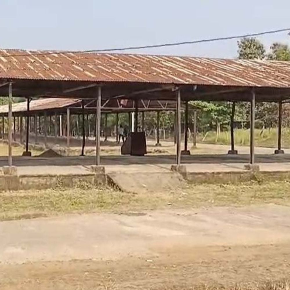 बालाघाट में समर्थन मूल्य पर धान खरीदी शुरू:अधिकांश केंद्रों पर किसान नहीं पहुंचे, सॉफ्टवेयर समस्या और अवैध केंद्र पर विवाद