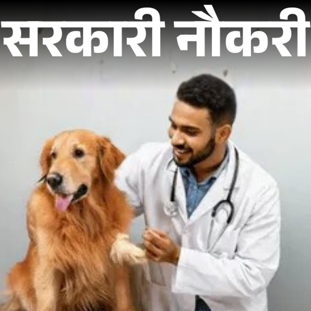 सरकारी नौकरी:गुजरात में वेटरनरी ऑफिसर सहित 425 पदों पर निकली भर्ती; एज लिमिट 35 साल, सैलरी 1 लाख 77 हजार तक