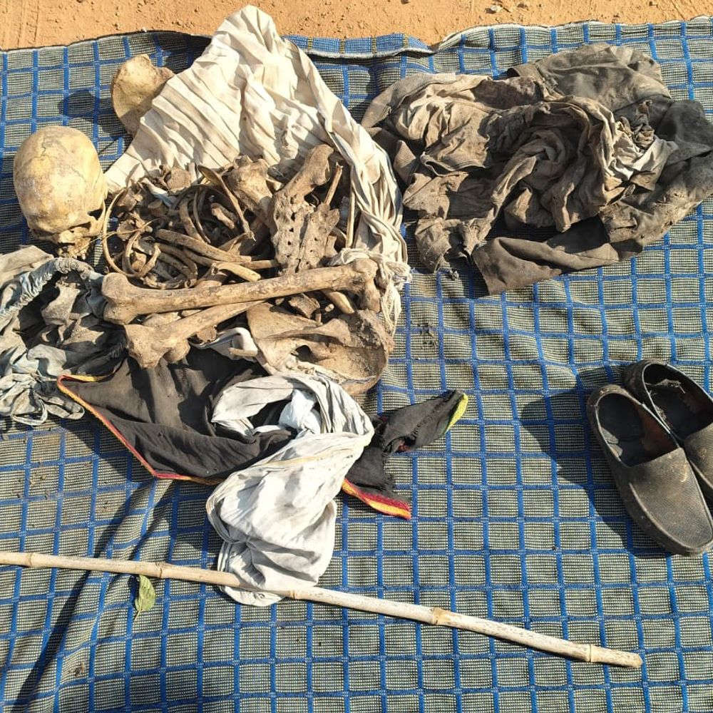 सतना के जंगल में मिला नरकंकाल:गले की हड्डी और खोपड़ी पेड़ पर मिली; बाकी हिस्सा जमीन पर बिखरा पड़ा था