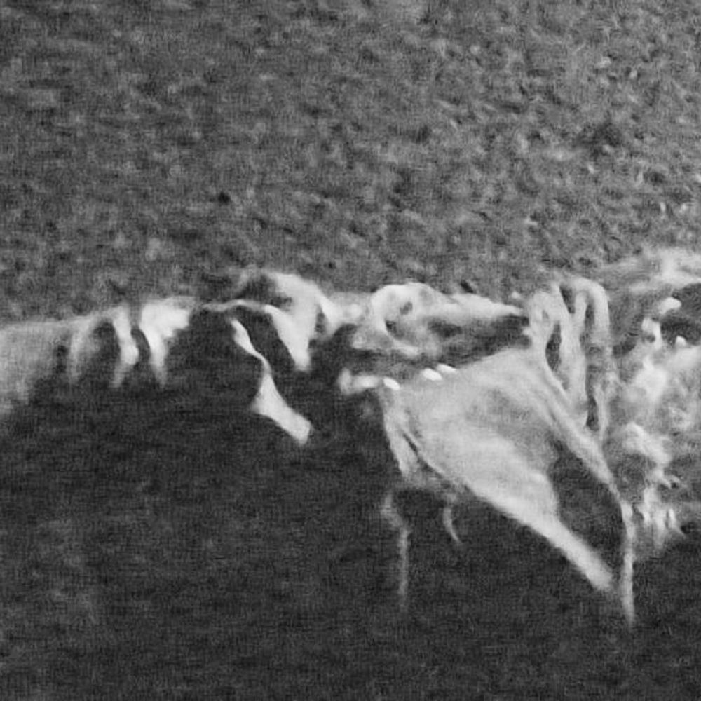 ट्रक की चपेट में आने से बुजुर्ग की मौत:  बाजार में भीख मांगता था, पुलिस ने शव पोस्टमॉर्टम के लिए भेजा – Chewara(Sheikhpura) News