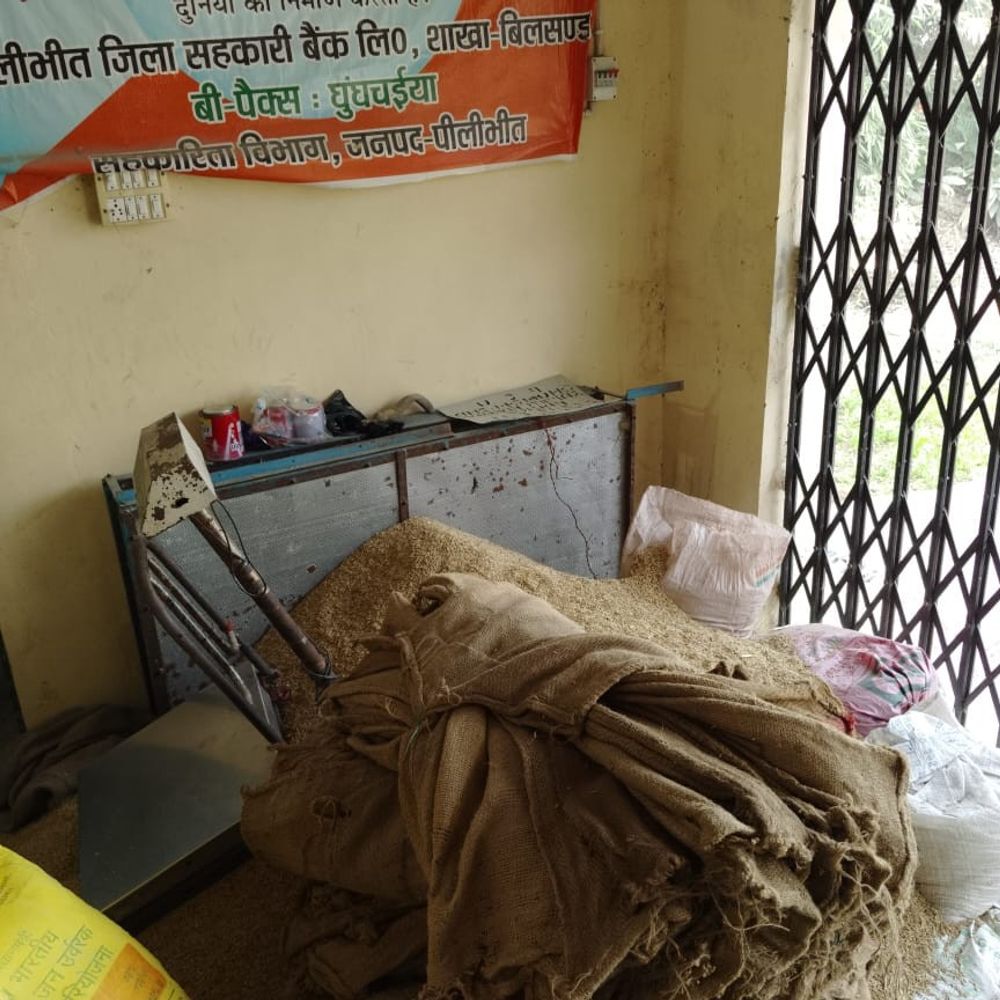 पीलीभीत में धान खरीद में मिली अनियमितता:क्रय केंद्र प्रभारी और सचिव पर FIR का आदेश