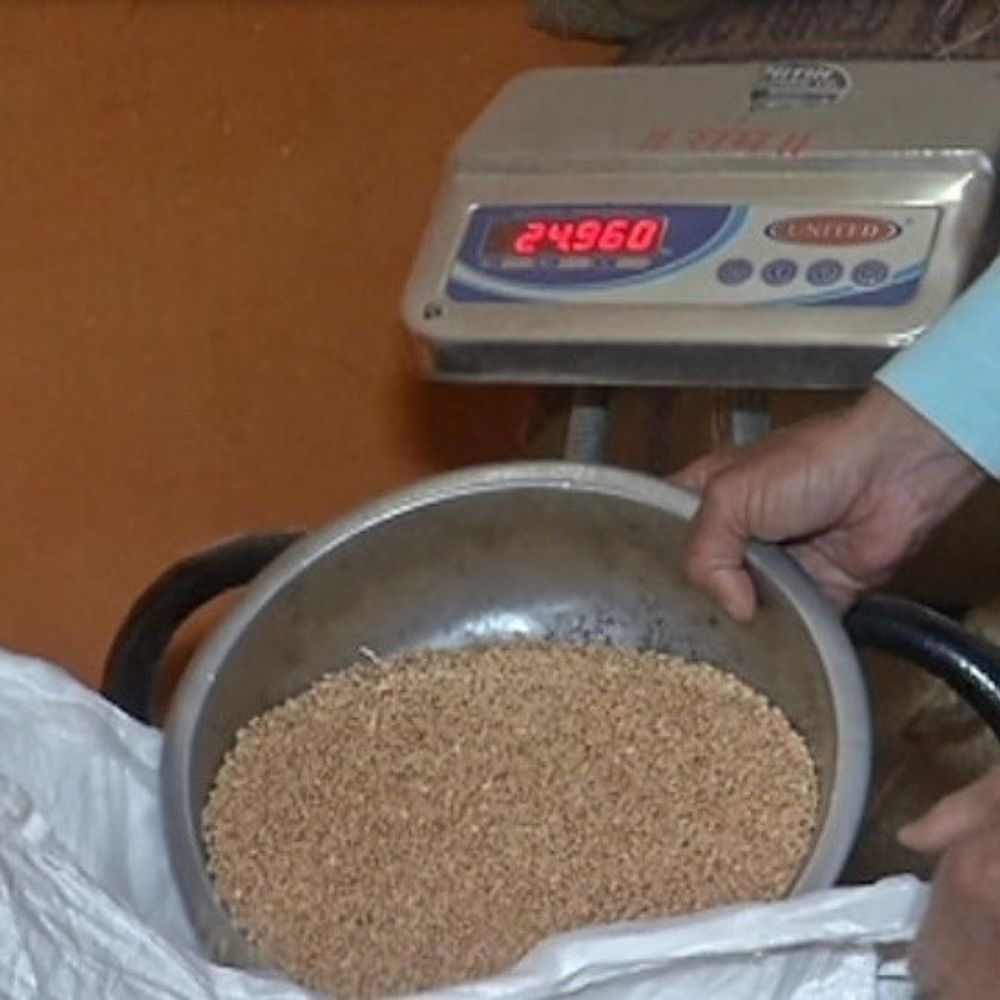 झालावाड़ में 881 संपन्न किसान खाद्य सुरक्षा से बाहर:विभाग ने नोटिस भेजकर हटाया, अब जरूरतमंदों को मिलेगा हक