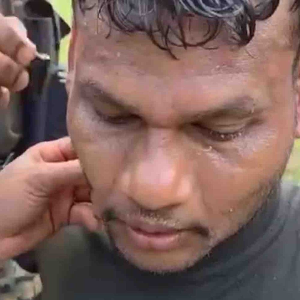 बीजापुर में सुरक्षा बलों पर मधुमक्खियों का हमला:एक जवान घायल, साथी जवानों निकाला डंक, हथियारों की टकराहट मधुमक्खियों को उत्तेजित कर देती है