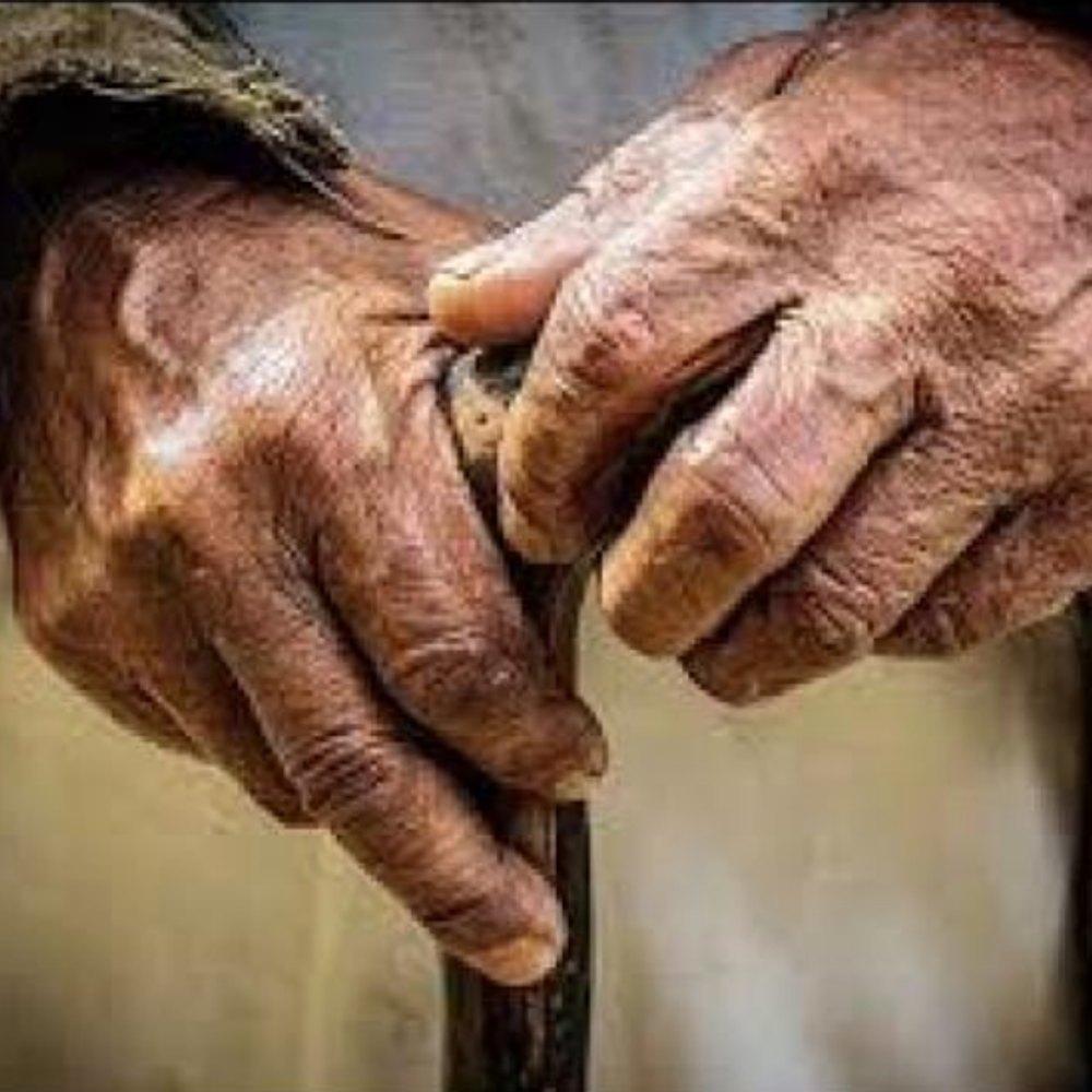 2036 तक 7 में से 1 भारतीय सीनियर सिटीजन होगा:केंद्र बोला- देश की आबादी तेजी से बूढ़ी हो रही; इससे आर्थिक निर्भरता जैसी चुनौतियां बढ़ेंगी