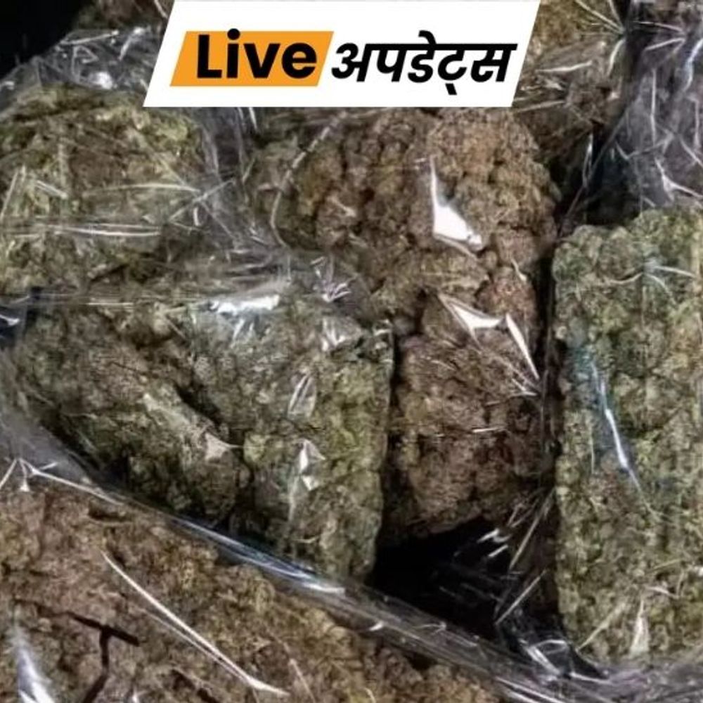 भास्कर अपडेट्स:पुणे एयरपोर्ट पर ₹2.29 करोड़ का मारिजुआना जब्त, बैंकॉक से आया यात्री गिरफ्तार