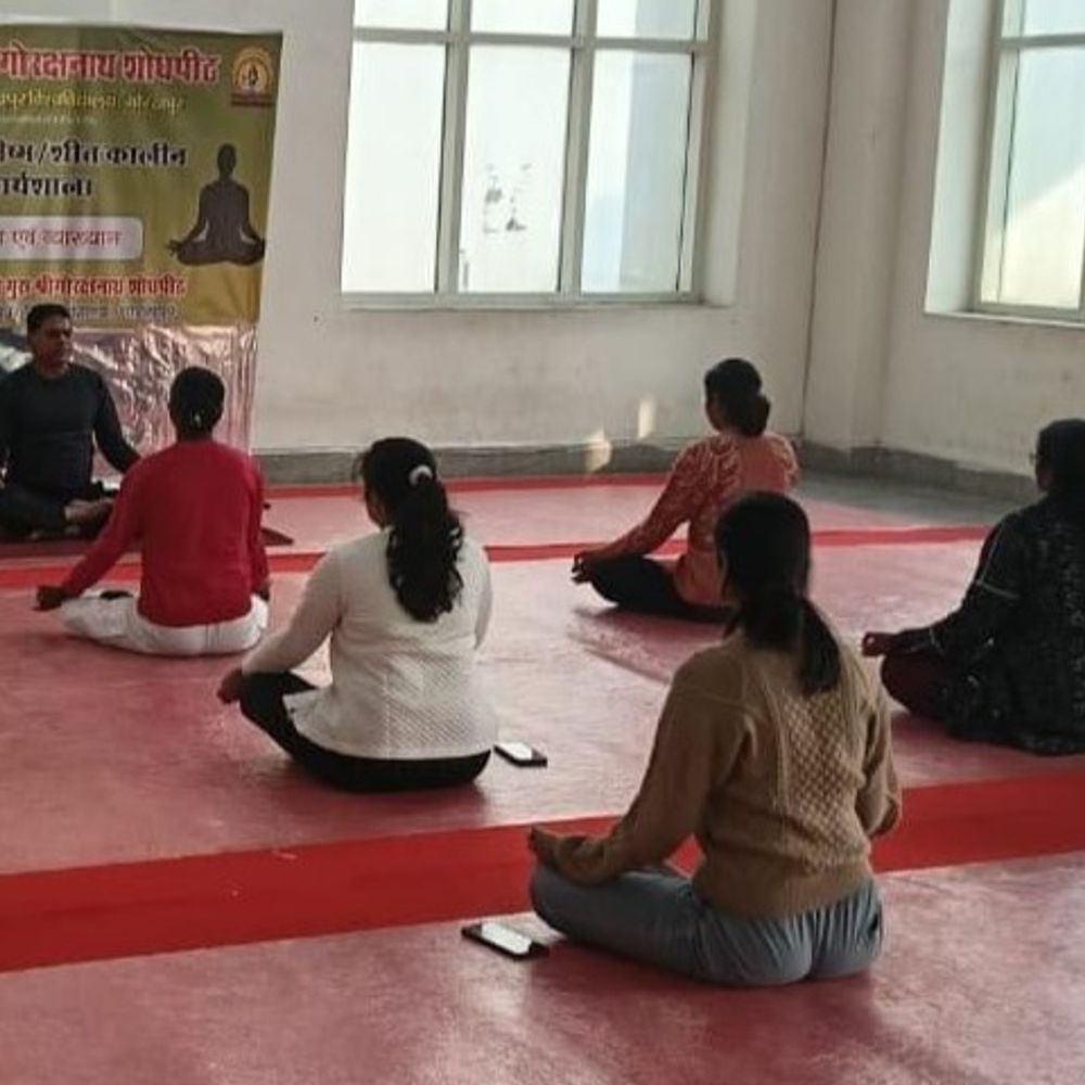 DDU में विंटर योगा वर्कशॉप:स्टूडेंट्स ने दिखाया उत्साह, ऑनलाइन ली योगा की ट्रेनिंग