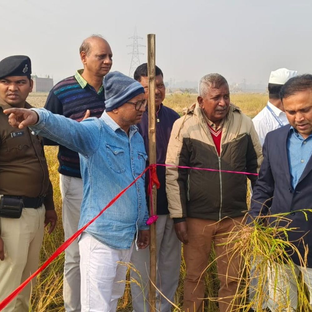 डीएम ने जगदीशपुर में कतरनी धान का क्रॉप कटिंग किया:  50 वर्ग मीटर में 10.82 किलो उत्पादन दर्ज – Bhagalpur News