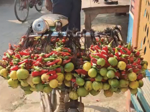 शनिवार को निंबू-मिर्च लटकाना अंधविश्वास या विज्ञान:बहुरा मामा की धरती बखरी में आज भी परंपरा जारी, आस्था और तर्क का अनूठा संगम