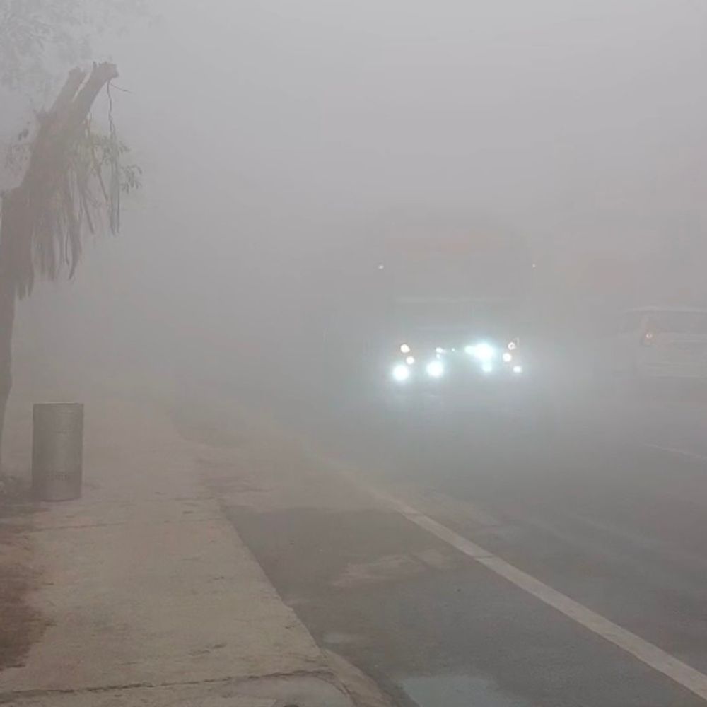 प्रतापगढ़ में बढ़ी ठंड, घना कोहरा छाया:विजिबिलिटी हुई 10 मीटर से कम, ठिठुरन से बचने को ले रहे अलाव का सहारा