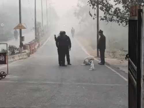 यूपी में कानपुर की रात सबसे सर्द रही:न्यूनतम पारा 6.4 डिग्री रहा, विजिबिलिटी 50 मीटर तक पहुंची