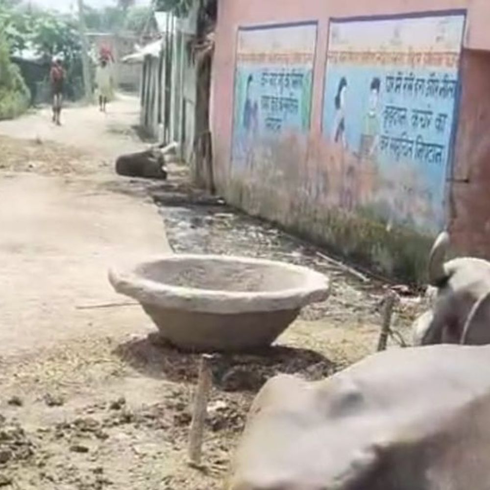 अतिक्रमण की चपेट में मध्य विद्यालय मोहनिया का मुख्य रास्ता:चारदीवारी न होने से परिसर और रास्ते पर अवैध कब्जा