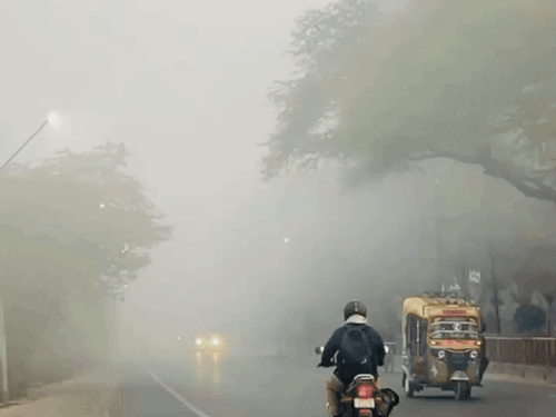 प्रयागराज में छाया घना कोहरा, न्यूनतम तापमान 11°C:इस सीजन का सबसे घना कोहरा, सुबह से छाया सन्नाटा, यातायात प्रभावित