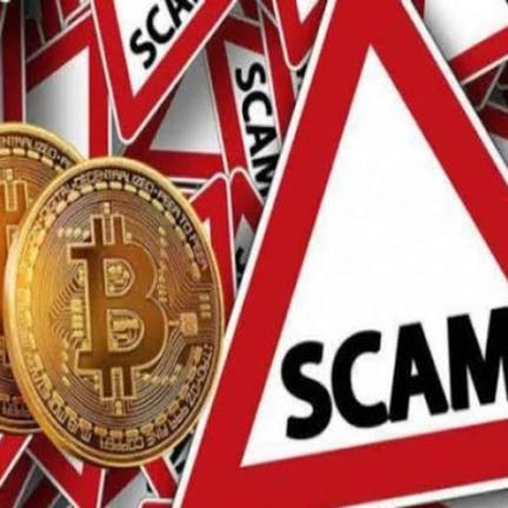 2300 करोड़ का क्रिप्टो पोंजी घोटाला उजागर:  हिमाचल-पंजाब में 8 ठिकानों पर ईडी के छापे, 1.2 करोड़ के बैंक बैलेंस सीज – Dharamshala News