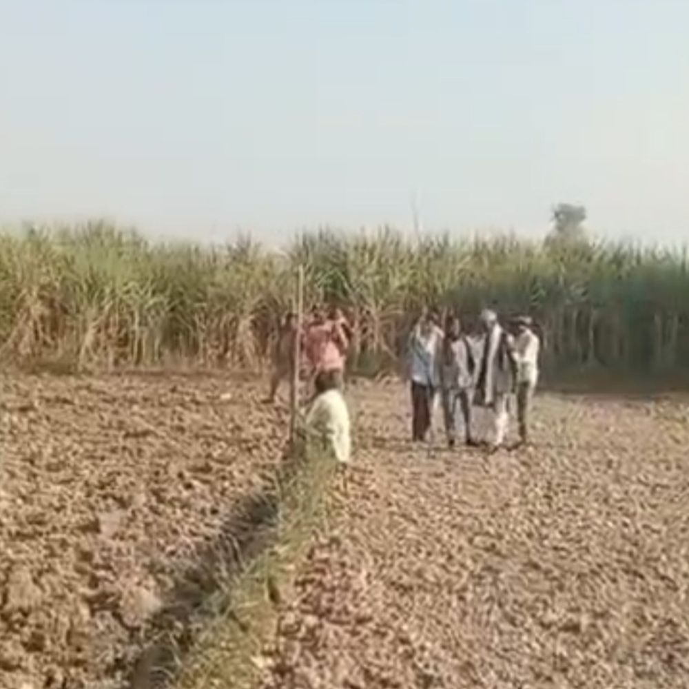 बहराइच के कैसरगंज इलाके में दिखा भेड़िया:ग्रामीणों के साथ वन विभाग की टीम कर रही तलाश