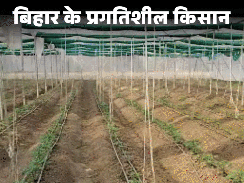 धान के बाद गेहूं नहीं...खरबूज-तरबूज उगाते हैं बक्सर के अंकित:बिजनेस छोड़ मॉर्डन खेती से बनाई पहचान, ड्रिप एरिगेशन से पकड़ी समृद्धि की राह